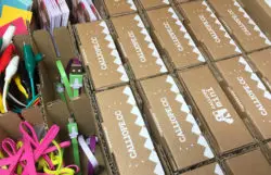 Calliope Mini 1.3 Klassensatz AKTION