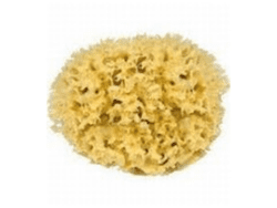 Wandtafel Naturschwamm, Premiumqualität